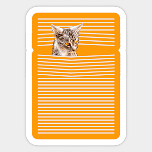 A yellow-eyed kitten peeks out from behind the stripes Sticker